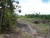 k-P1160619.JPG