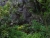 DSC01123.JPG