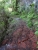 DSC01137.JPG