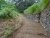 DSC01154.JPG