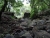 DSC01169 Kopie.JPG