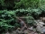 DSC01184.JPG