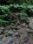 DSC01186 Kopie.JPG
