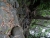 DSC01190.JPG