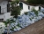 DSC01220.JPG
