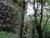 DSC01249.JPG