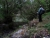 DSC01278 Kopie.JPG
