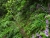 DSC01398.JPG