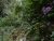 DSC01403.JPG
