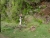 DSC01562.JPG