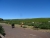 DSC01550.JPG