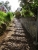 DSC01882 k.JPG