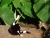 DSC01891.JPG