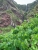 k-IMG-20190725-WA0045.jpg