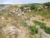 DSCN8368.JPG