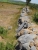 DSCN8366.JPG