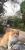494234A6-6B13-4091-901D-98698799FFDC.jpeg
