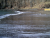 DSCK0259.JPG