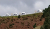 DSC_4267.jpg
