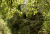 DSC_0297.jpg