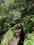 IMG_6229.jpeg