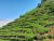 k-20250710_114706.jpg