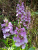 k-IMG-20250716-WA0014.jpg