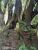 k-IMG-20250716-WA0018.jpg