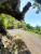 k-20250716_131943.jpg