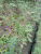 k-20250716_134314.jpg