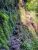 IMG_4966.jpeg