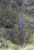 _DSC1101.JPG