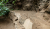 Costa Verde 4 klein P1140836.jpg