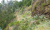 Costa Verde 6 klein P1140876.JPG