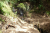 2026P1150443PNG.jpg