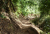 2026P1150447PNG.jpg