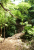 2026P1150448PNG.jpg
