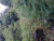 k-20260717_112606.jpg