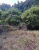 k-20260717_111138.jpg