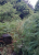 k-20260717_112606.jpg