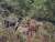 k-20260717_112720.jpg